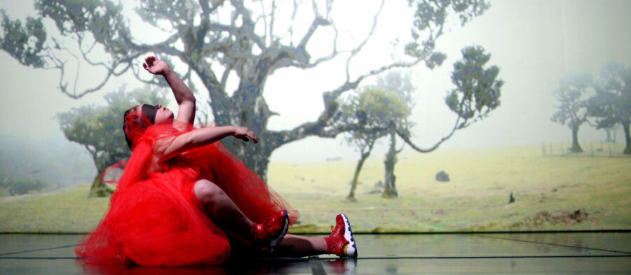Au premier plan, il y a un danseur sur scène qui porte un tutu rouge, un bandeau noir sur les yeux, des chaussures de sport rouges avec des chaussettes rouges à paillettes, et du rouge à lèvre. Au second plan, une vidéo est projetée qui monte une forêt dans la brume.