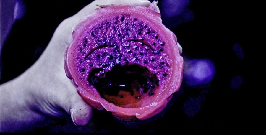 Une photo saturée d’une main pâle tenant un fruit rose et violet. Le fond est violet foncé. L’image est mystérieuse.